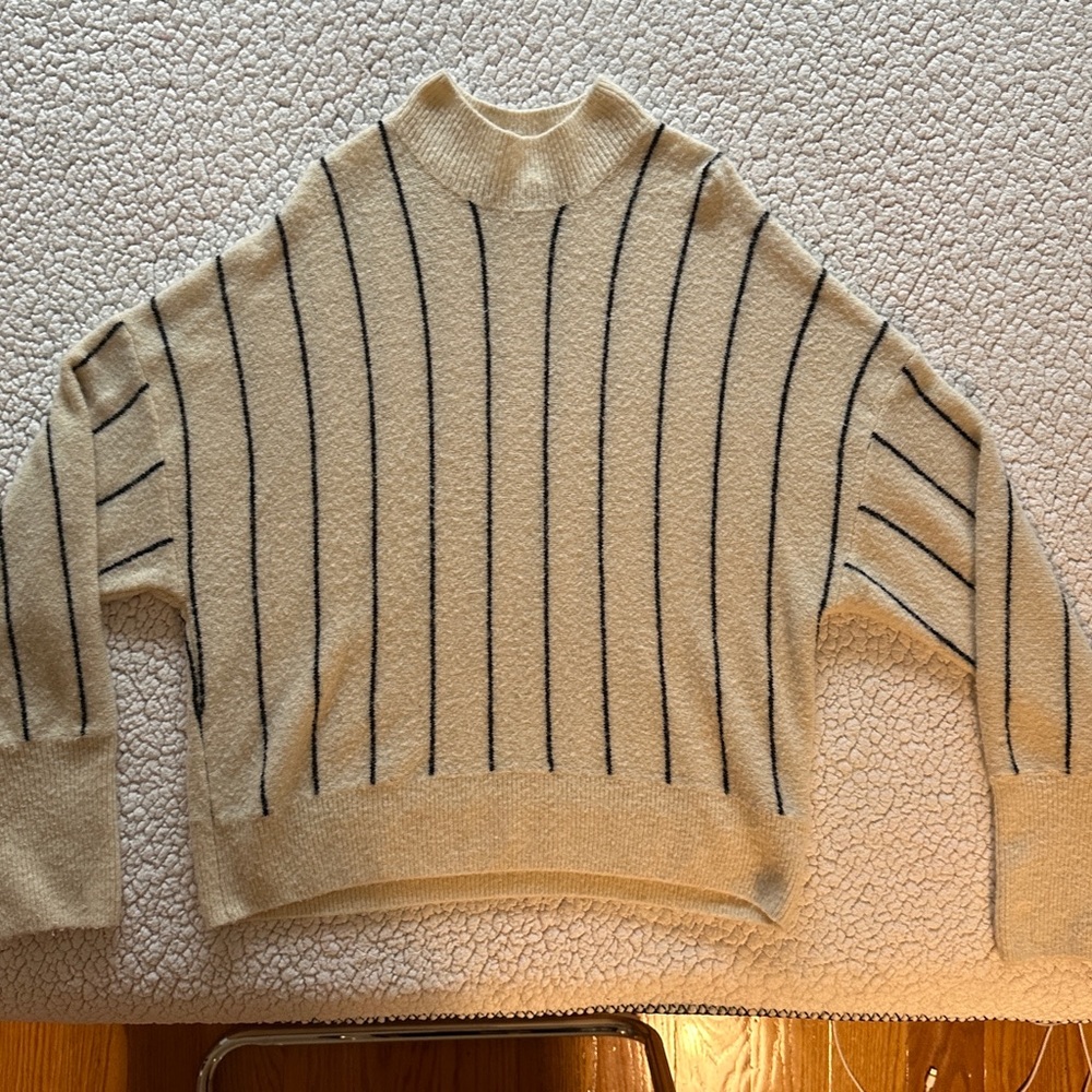 Amuse Society stripped sweater